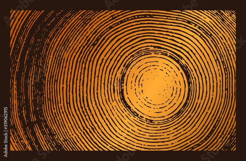 Monotone wood texture stamp. Detailed tree ring design. Rough organic tree rings with close up of end grain.
