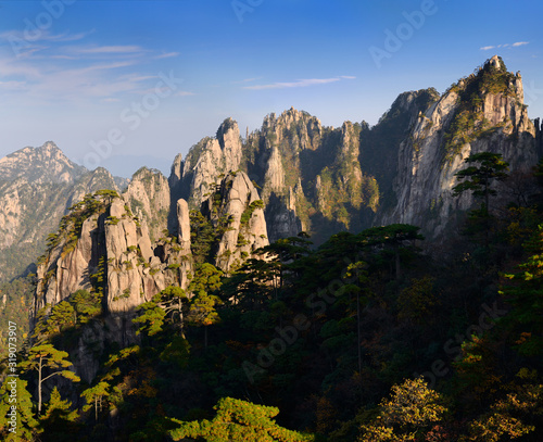 Pine trees at The Eighteen Arhats Worshipping at South Sea and Camel Back Peak at Yellow Mountain Huangshan China