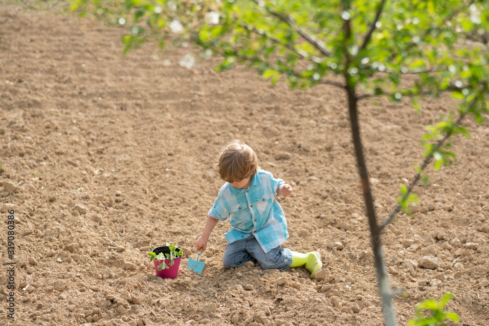 Toddler are working in flowers park. Professional Gardener at Work. Summer farm. Kid planting flowers in pot. Toddler are working in flowers park. Professional Gardener at Work. Summer farm. Kid planting flowers in pot.