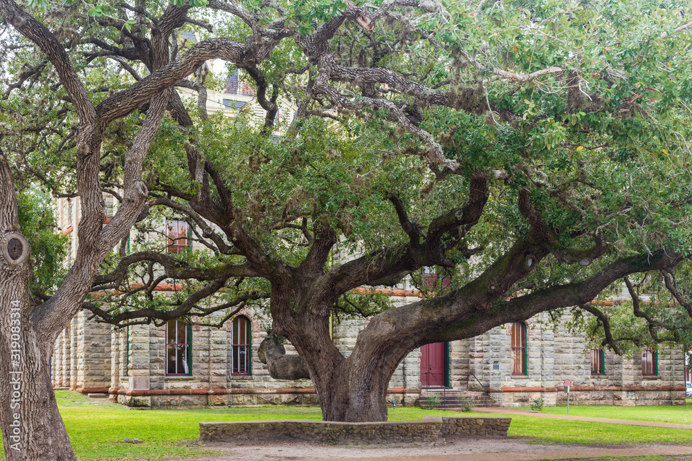 "The Hanging Tree" Texas Historical Landmark at the county courthouse