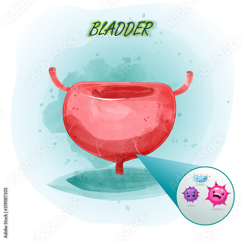 Human bladder cystitis anatomy will walking somewhere. Internal organ concept. Vector modern style cartoon character. White and blue background for web and medical apps. Vector illustration.