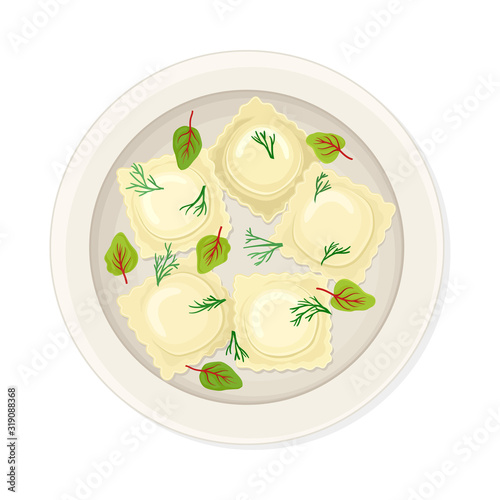 Stuffed Dumplings Served on Ceramic Plate with Greenery Top View Vector Illustration