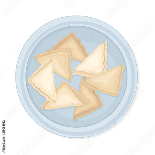 Cooked Dumplings Served on Ceramic Plate Top View Vector Illustration