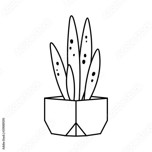 Cactus and succulent line style cartoon vector illustration. Decorative flower plant in pot. Isolated icon cacti