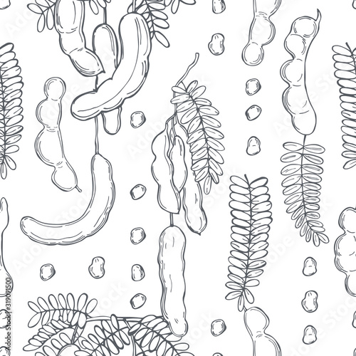 Hand drawn Tamarind (Tamarindus indica).  Vector seamless pattern.