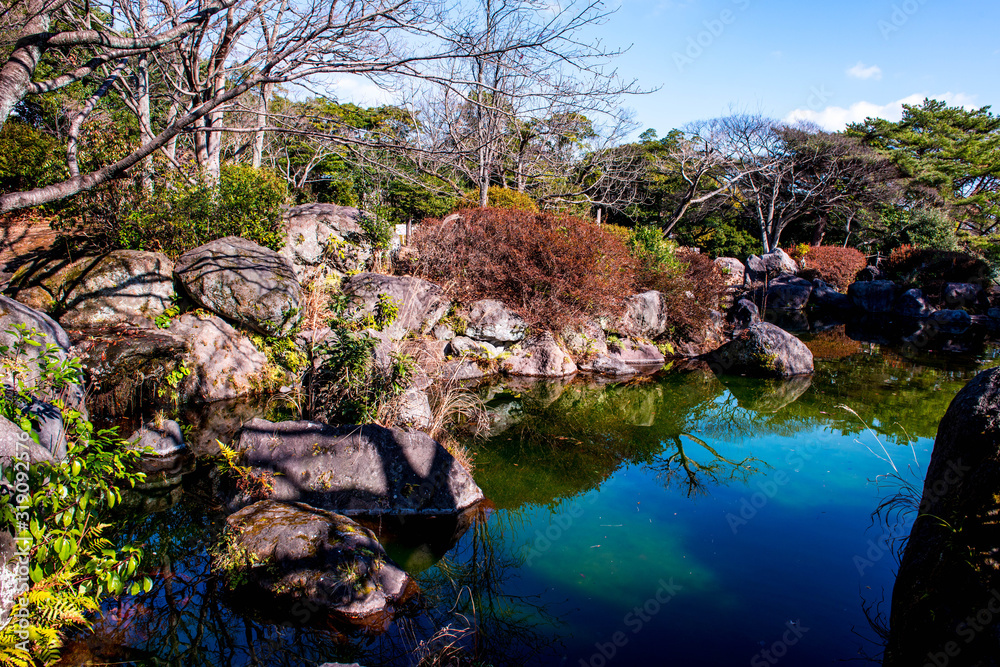 南立石公園の梅