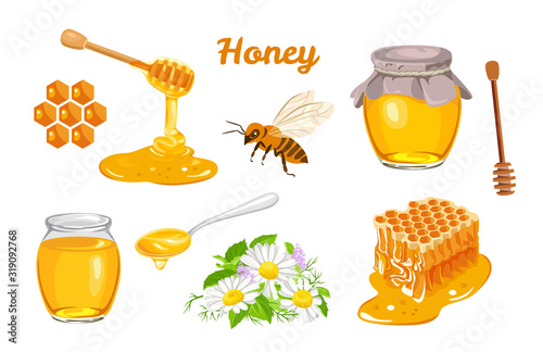 Canvas Print Honey set