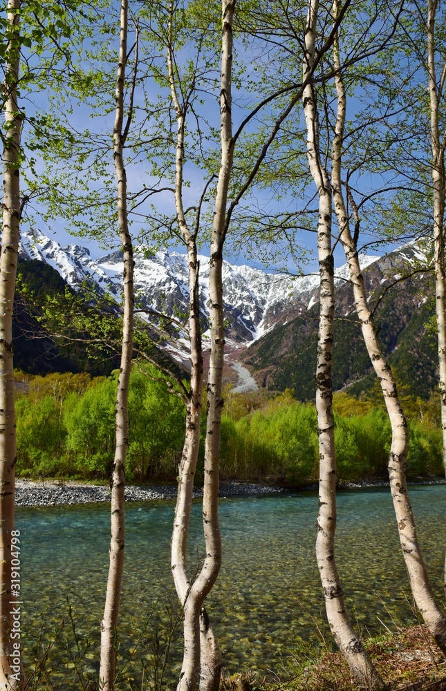 Obraz premium 信州 上高地 新緑の季節