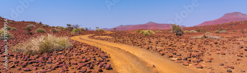Scenic view of the Palmwag Concession Area with milkbushes in Namibia in Africa.