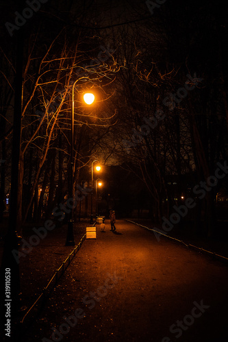 Night Park, lanterns and a girl with a dog are walking