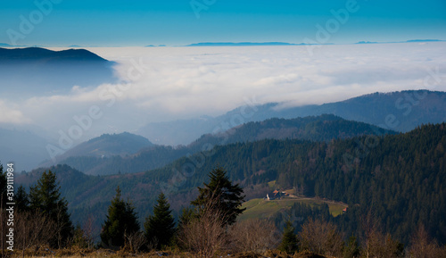 Schwarzwaldidylle nahe des Buchkopfturmes oberhalb von opopenau