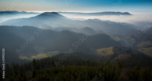 Schwarzwaldidylle nahe des Buchkopfturmes oberhalb von opopenau © Tanja Voigt 