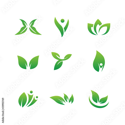 Leaf set logo