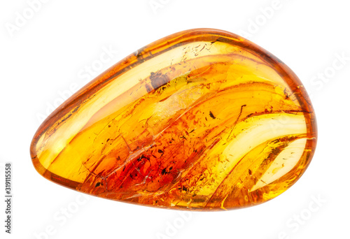 Photo polished Amber gemstone with inclusions isolated