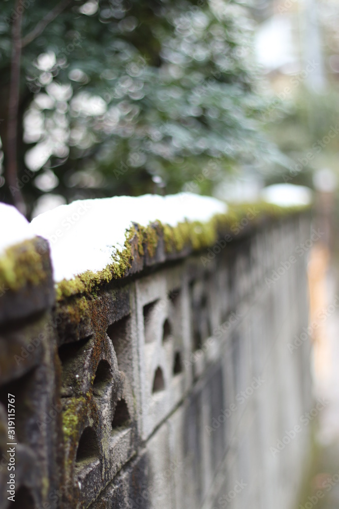 Obraz premium 塀の雪後