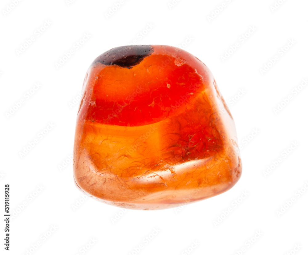rolled Carnelian (cornelian) gem isolated on white rolled Carnelian (cornelian) gem isolated on white