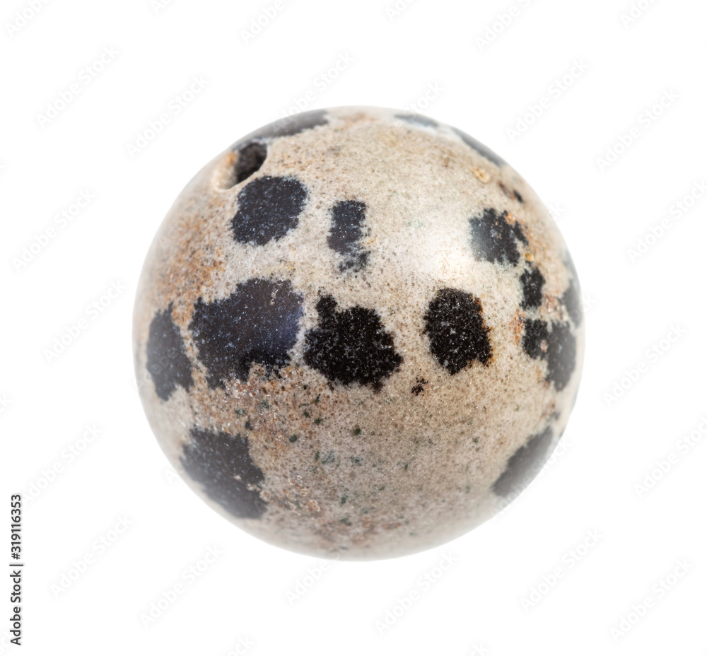 bead from Dalmatian Jasper rock isolated bead from Dalmatian Jasper rock isolated