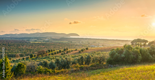 Maremma sunset panorama. Countryside, sea and Elba on horizon. San Vincenzo, Tuscany, Italy.
