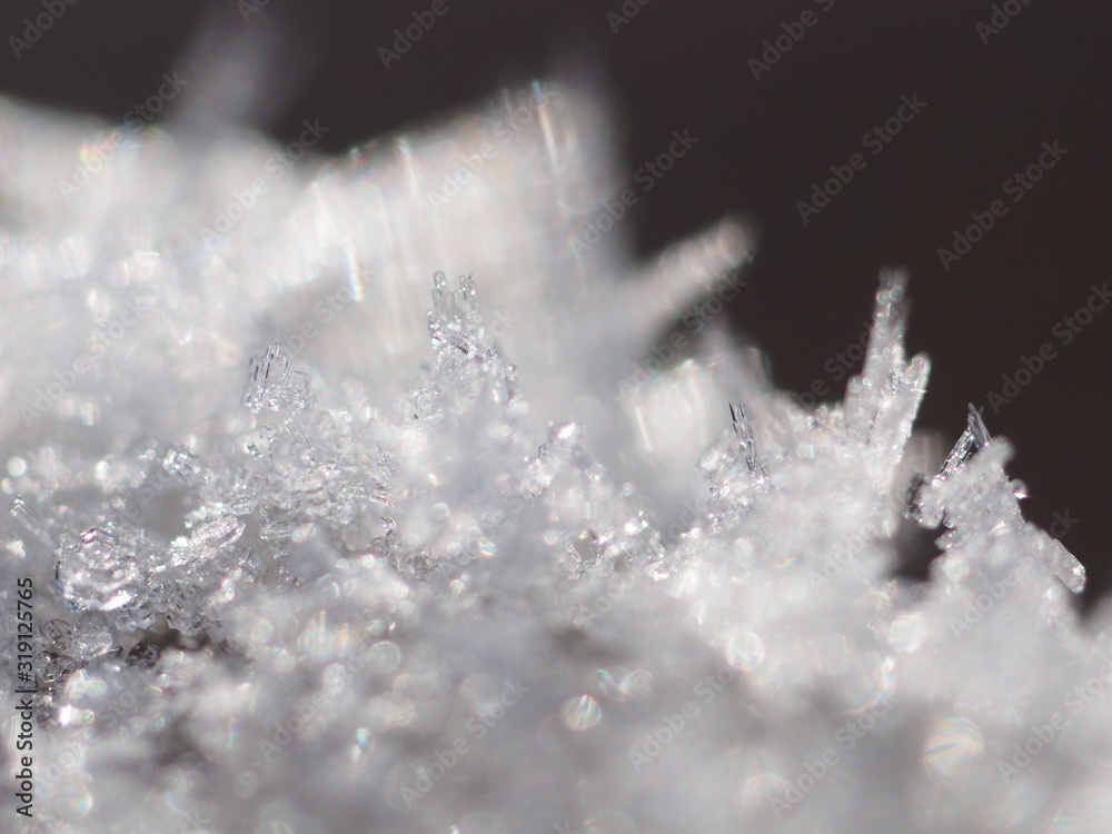 white snow and ice in the forest. winter