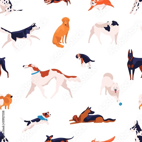 Seamless pattern with different dogs breed isolated on white background