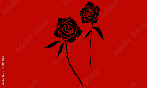 黒薔薇　二輪　赤背景