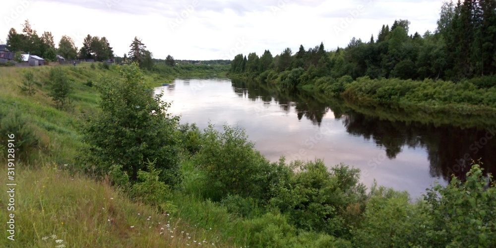 Obraz premium river in the forest