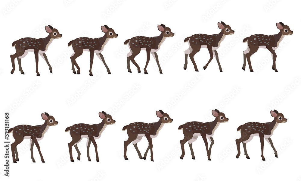 Spotted deer's walking cycle for animation. Steps of deer cub. vector