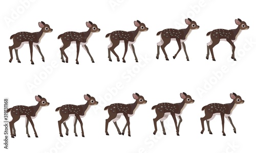 Spotted deer's walking cycle for animation. Steps of deer cub.