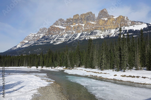 Bow River flows through past a pine forest under the majestic Canadian Rockies