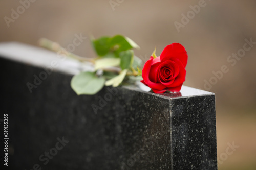Fototapeta Naklejka Na Ścianę i Meble -  Red rose on black granite tombstone outdoors. Funeral ceremony