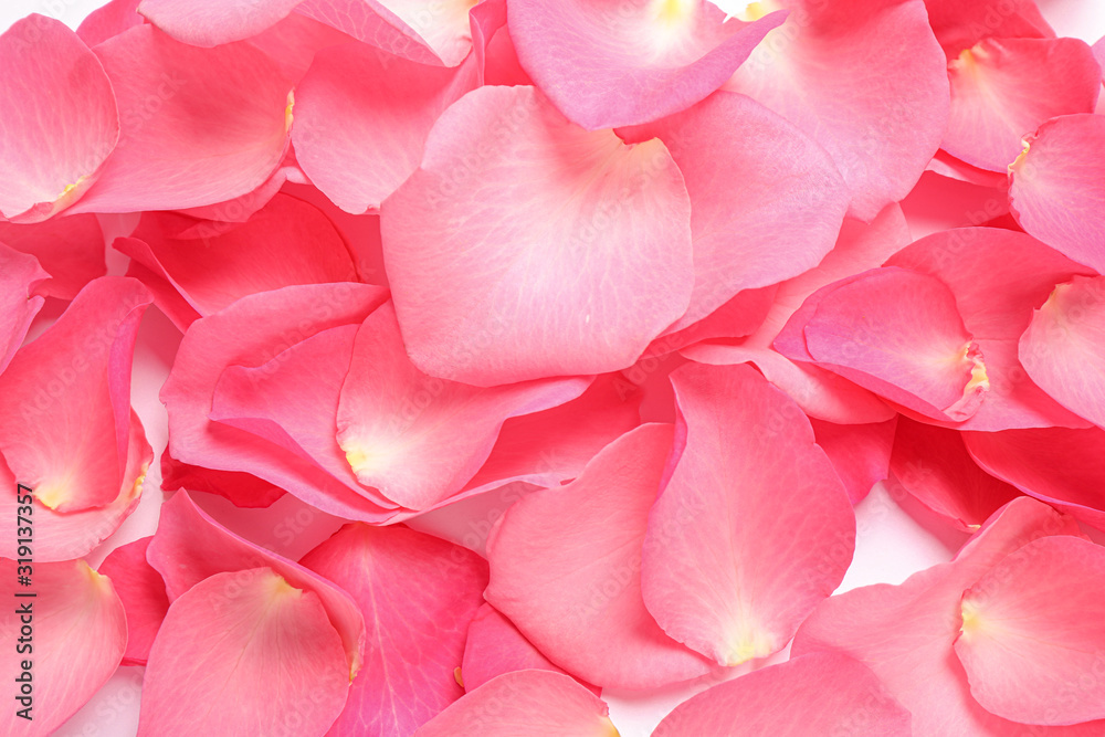 Fresh pink rose petals as background, closeup Fresh pink rose petals as background, closeup