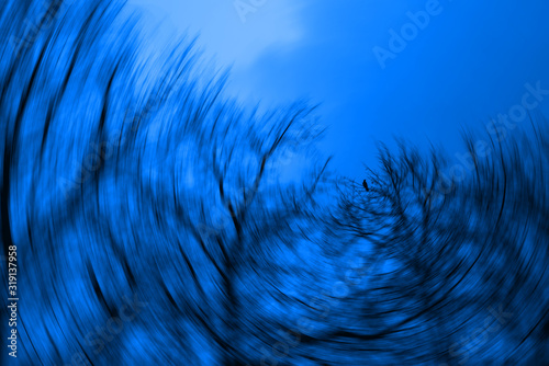 Принти на полотні Abstract tree silhouettes with radial blur
