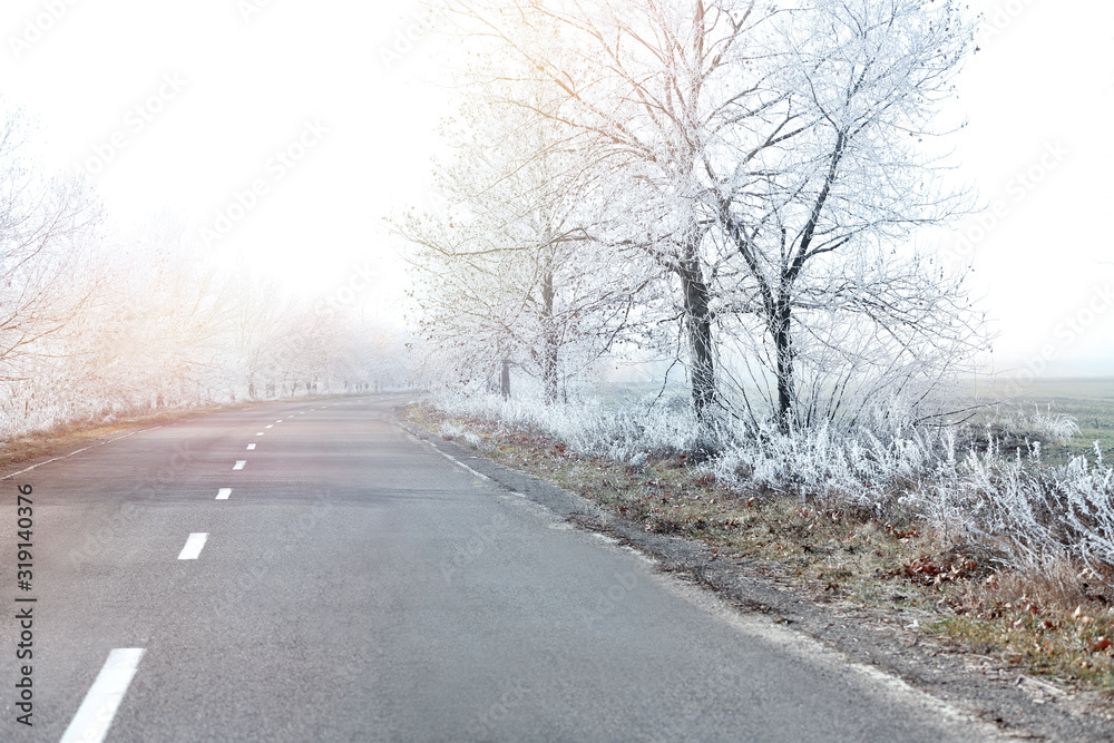 Empty road between trees covered with hoarfrost at rural site in early winter morning Empty road between trees covered with hoarfrost at rural site in early winter morning