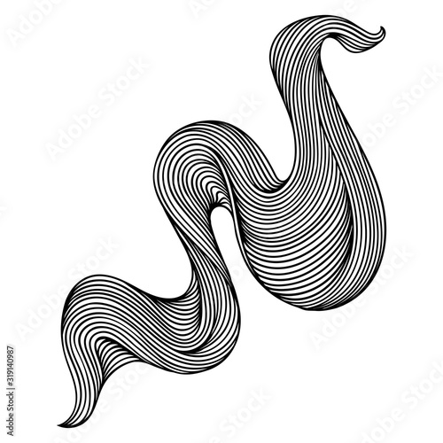 Wave line curl. Monochrome stripes black and white texture.