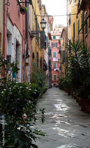Narrow alley with colorful buildings in Carrara