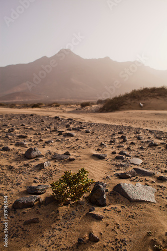 Fototapeta Naklejka Na Ścianę i Meble -  Beach landscape -  Cofete, Fuerteventura, Canary Islands. Perfect place for the coast lovers. Tourist holiday destination, background, copy space.