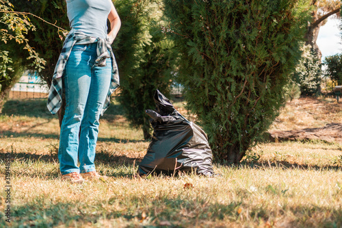The concept of environmental pollution and Earth day. A woman volunteer removes garbage in the Park, near the feet is a black garbage bag. Close up