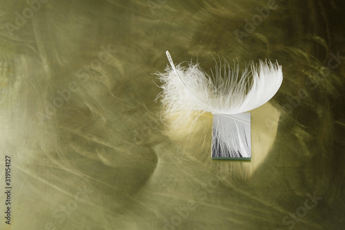 White Heron feather on a gold mirror surface. The texture of the feathers is reflected in the mirror. Copy space.