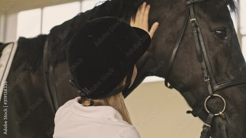 Back view of young girl is petting a brown horse while standing near it in the covered stable Back view of young girl is petting a brown horse while standing near it in the covered stable