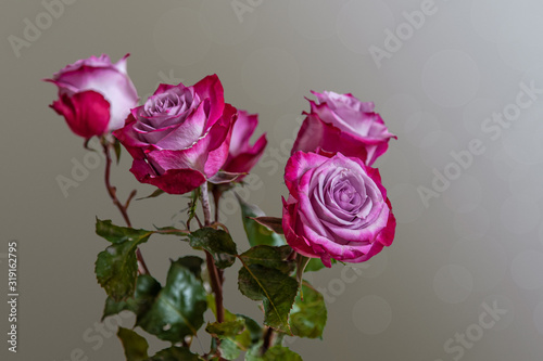 floral background bouquet of roses close up