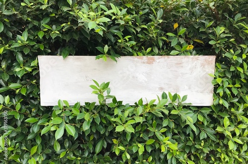 paper on wooden background