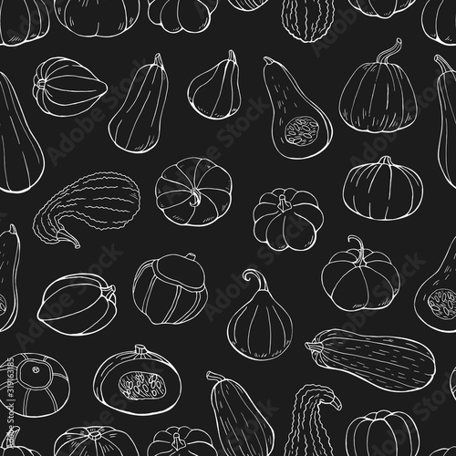 Seamless pattern with different hand drawn outline squashes. Endless texture with white contour vegetables on black background for your design