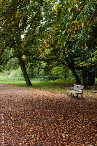 Walking in the palace garden of Charlottenburg on an autumn day, benches for rest , a district of the Charlottenburg-Wilmersdorf borough photo
