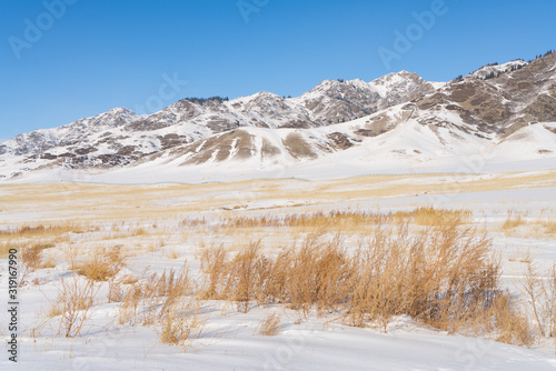 Fototapeta Naklejka Na Ścianę i Meble -  Snow mountain and snow field grassland near by the Xinjiang China Sayram lake. Winter season.