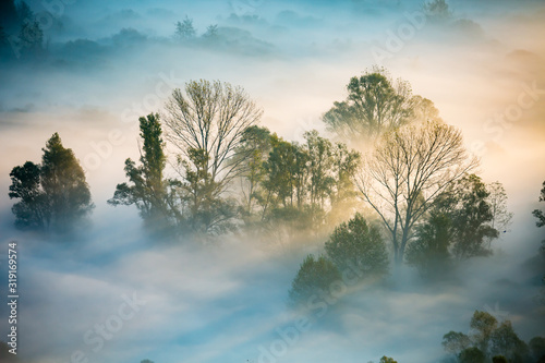 Sunrise on the Adda river with fog and its vegetation
