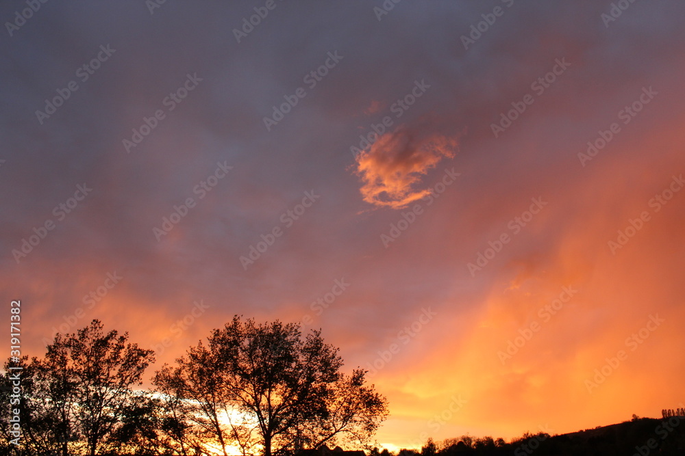 sky and tree