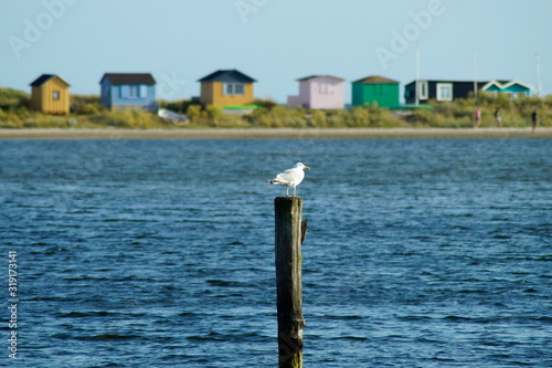 Aerö ist eine wunderschöne dänische Insel