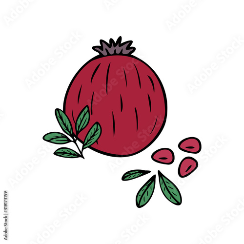 Hand drawn pomegranate fruit, pomegranate seeds, leaves isolated on a white background. Doodle, simple outline illustration. It can be used for decoration of textile, paper and other surfaces.