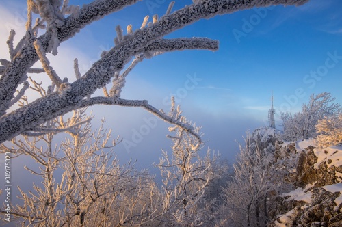 Vapenna hill tower in winter season photo