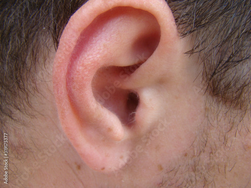 ear